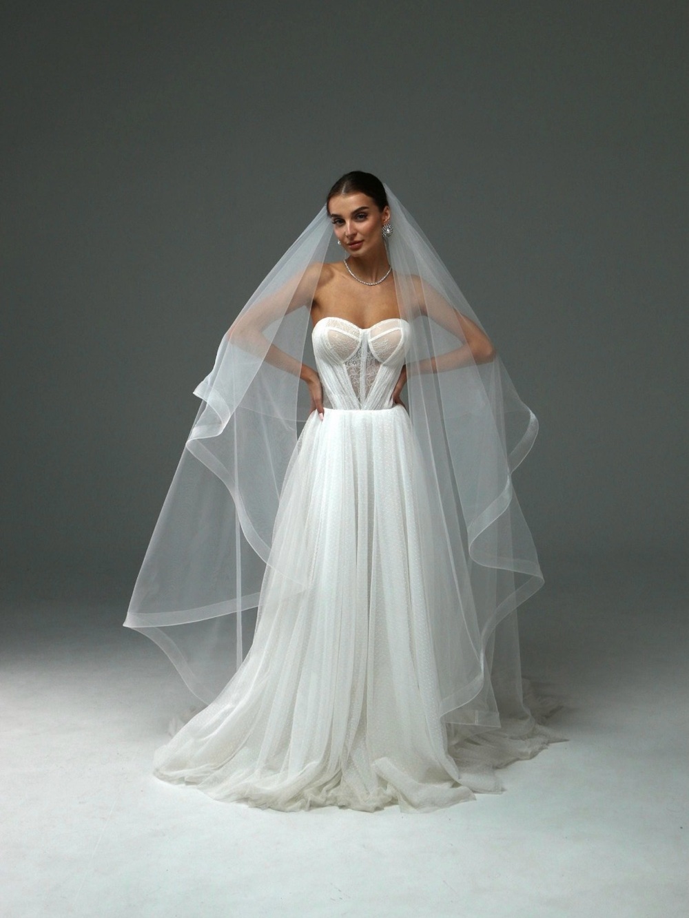 Elegant White Wedding Veil (dress not included)